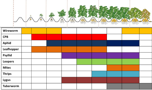 Pest Time-table